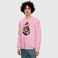 Свитшот хлопковый мужской Кот породы Мейн-кун в новогодней шапке, цвет: светло-розовый — фото 2