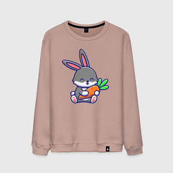 Свитшот хлопковый мужской Морковные обнимашки, цвет: пыльно-розовый