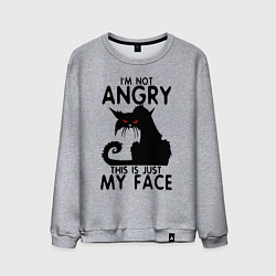 Мужской свитшот I am not angry cat