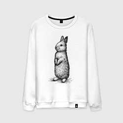 Мужской свитшот Заяц стоит