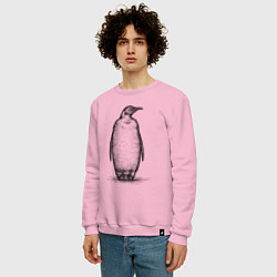 Свитшот хлопковый мужской Пингвин стоит, цвет: светло-розовый — фото 2