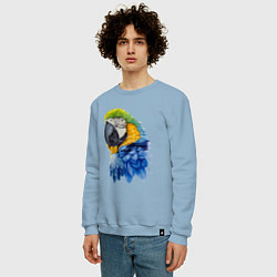 Свитшот хлопковый мужской Сине-золотой попугай ара, цвет: мягкое небо — фото 2