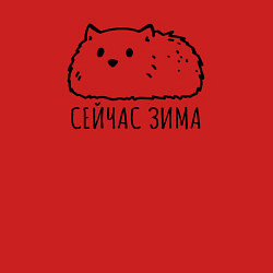Свитшот хлопковый мужской Сейчас зима пушичстый кот, цвет: красный — фото 2