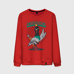 Свитшот хлопковый мужской Освободись, цвет: красный