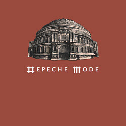 Свитшот хлопковый мужской Depeche Mode - Royal albert hall, цвет: кирпичный — фото 2