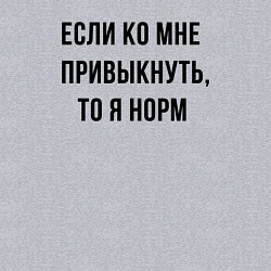 Свитшот хлопковый мужской Если ко мне привыкнуть то я норм, цвет: меланж — фото 2