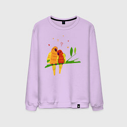 Свитшот хлопковый мужской Пара влюбленных попугаев на ветке, цвет: лаванда