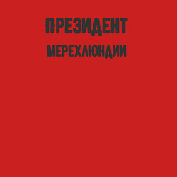 Свитшот хлопковый мужской Президент мерехлюндии, цвет: красный — фото 2