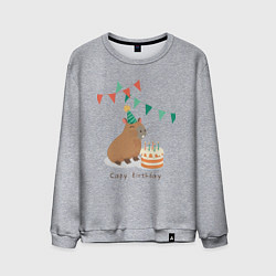Свитшот хлопковый мужской Capy birthday капибара, цвет: меланж