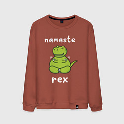 Свитшот хлопковый мужской Namaste Rex, цвет: кирпичный