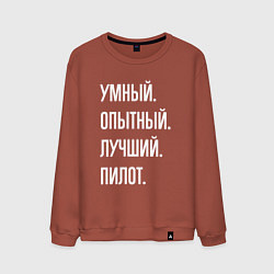Свитшот хлопковый мужской Умный опытный лучший пилот, цвет: кирпичный