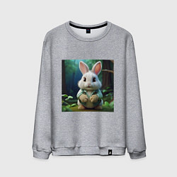 Свитшот хлопковый мужской Зайчик в одежде, цвет: меланж