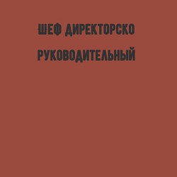 Свитшот хлопковый мужской Шеф директорско руководительный, цвет: кирпичный — фото 2