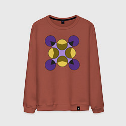 Мужской свитшот Фигура из окружностей