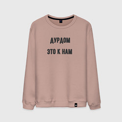 Мужской свитшот Дурдом это к нам