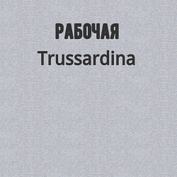 Свитшот хлопковый мужской Рабочая trussardina, цвет: меланж — фото 2