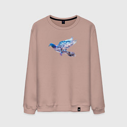 Мужской свитшот Летящий голубь и ночной город с двойной экспозицие