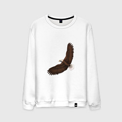 Свитшот хлопковый мужской Классный красивый орел гордая птица, цвет: белый