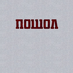 Свитшот хлопковый мужской Пошол, цвет: меланж — фото 2