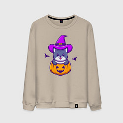 Свитшот хлопковый мужской Kitty halloween, цвет: миндальный