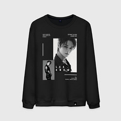 Мужской свитшот Stray kids Lee Know