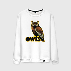 Свитшот хлопковый мужской Owls, цвет: белый