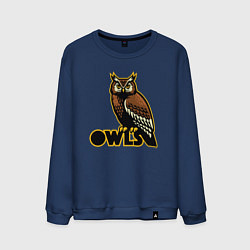Мужской свитшот Owls