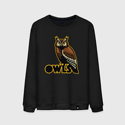 Свитшот хлопковый мужской Owls, цвет: черный