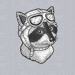 Свитшот хлопковый мужской Енотик лётчик, цвет: меланж — фото 2