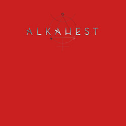 Свитшот хлопковый мужской Alkahest loogo, цвет: красный — фото 2
