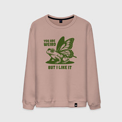 Мужской свитшот Лягушка с крыльями ты странный но мне нравится