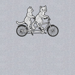 Свитшот хлопковый мужской Котята на велике, цвет: меланж — фото 2