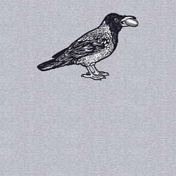 Свитшот хлопковый мужской Ворона с денежкой, цвет: меланж — фото 2