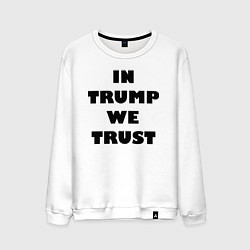 Мужской свитшот In Trump we trust - slogan