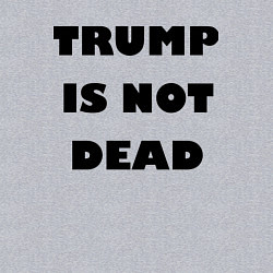 Свитшот хлопковый мужской Trump is not dead - motto, цвет: меланж — фото 2