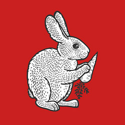 Свитшот хлопковый мужской Зайчик и морковка, цвет: красный — фото 2