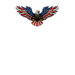 Свитшот хлопковый мужской USA eagle, цвет: белый — фото 2