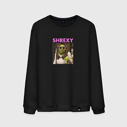 Свитшот хлопковый мужской Shrexy Шрэк, цвет: черный