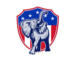 Свитшот хлопковый мужской Elephant USA, цвет: белый — фото 2