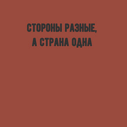 Свитшот хлопковый мужской Стороны разные страна одна, цвет: кирпичный — фото 2