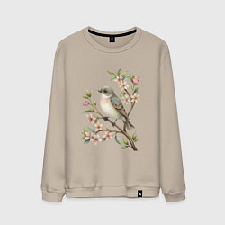 Свитшот хлопковый мужской Маленькая птичка на ветке с цветами, цвет: миндальный