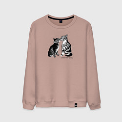 Свитшот хлопковый мужской Поцелуй котиков, цвет: пыльно-розовый