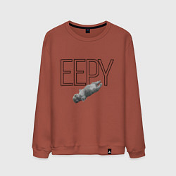 Свитшот хлопковый мужской Eepy, цвет: кирпичный
