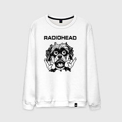 Мужской свитшот Radiohead - rock dog