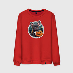 Свитшот хлопковый мужской Собака французский бульдог с тыквой, цвет: красный