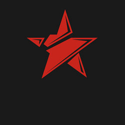 Свитшот хлопковый мужской Красная звезда - СССР, цвет: черный — фото 2