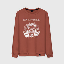 Свитшот хлопковый мужской Joy Division rock dog, цвет: кирпичный