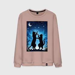 Мужской свитшот Танцующие коты под звёздным небом