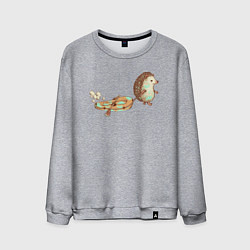 Свитшот хлопковый мужской Ежик со спущенной лодкой, цвет: меланж