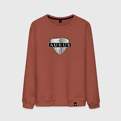 Свитшот хлопковый мужской AURUS logo auto, цвет: кирпичный